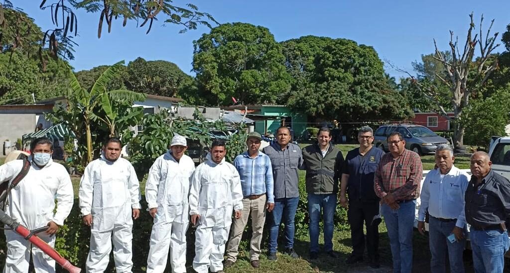 Activa Secretaría de Salud vigilancia epidemiológica por encefalitis equina