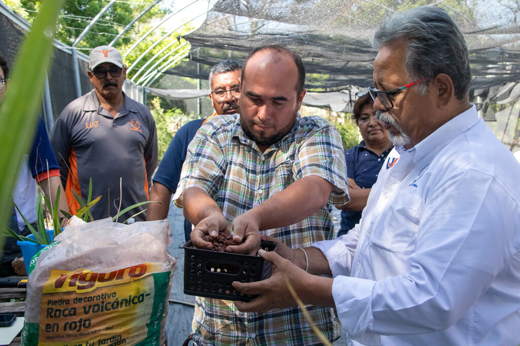 Promueve UAT el cultivo y conservación de orquídeas