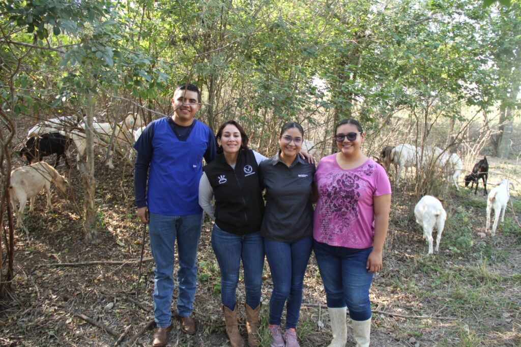 Analiza UAT innovaciones de mejoramiento para la producción caprina