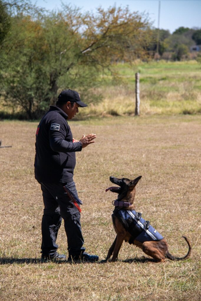 Estudiante de la UAT aporta su experiencia en adiestramiento canino al servicio comunitario