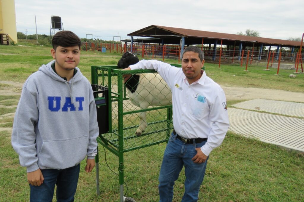 Estudiante de la UAT desarrolla innovador sistema de monitoreo de alimentación de borregos