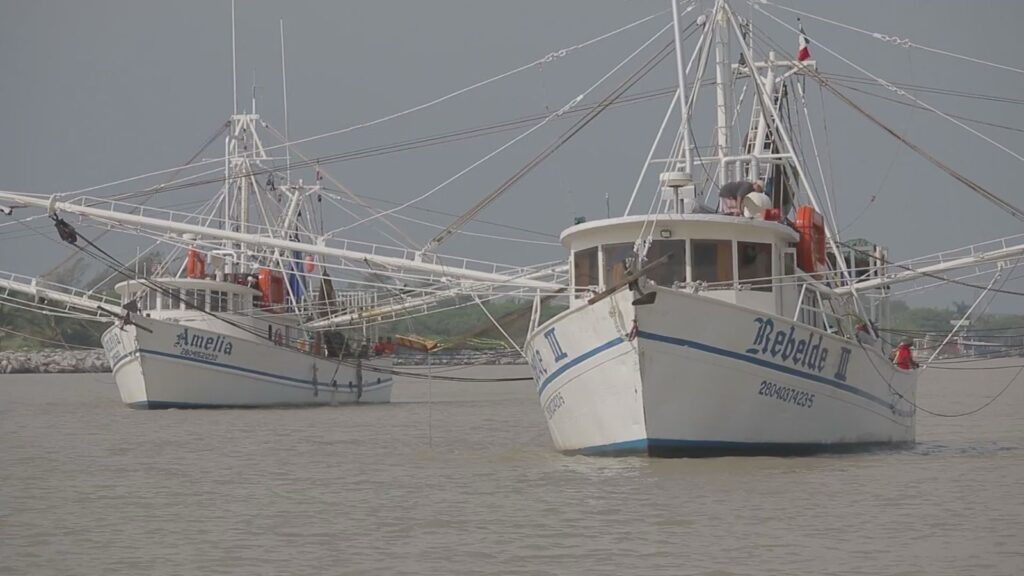 Es flota camaronera tamaulipeca, la más grande del Golfo de México