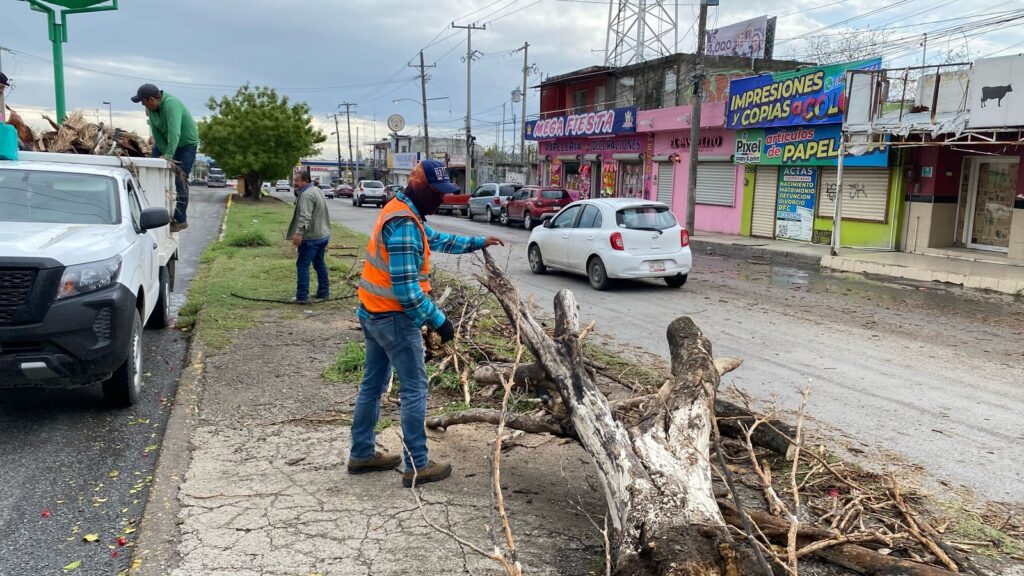 Operativo de limpieza de drenes y recolección de arbustos en vialidades de la ciudad.