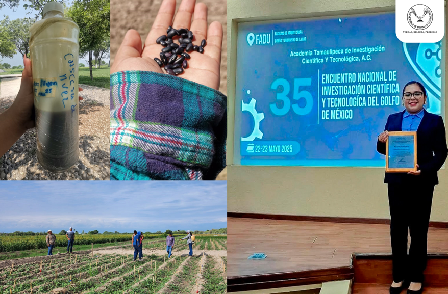 Elabora estudiante de la UAT bioherbicida para cultivos de frijol