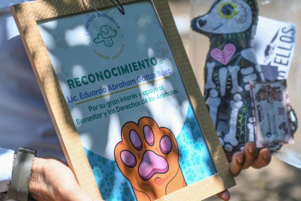 Reconoce Colectivo Animalista a Municipio por apoyar derechos de los animales.