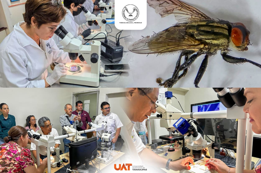 Colabora la UAT en medidas preventivas contra el gusano barrenador