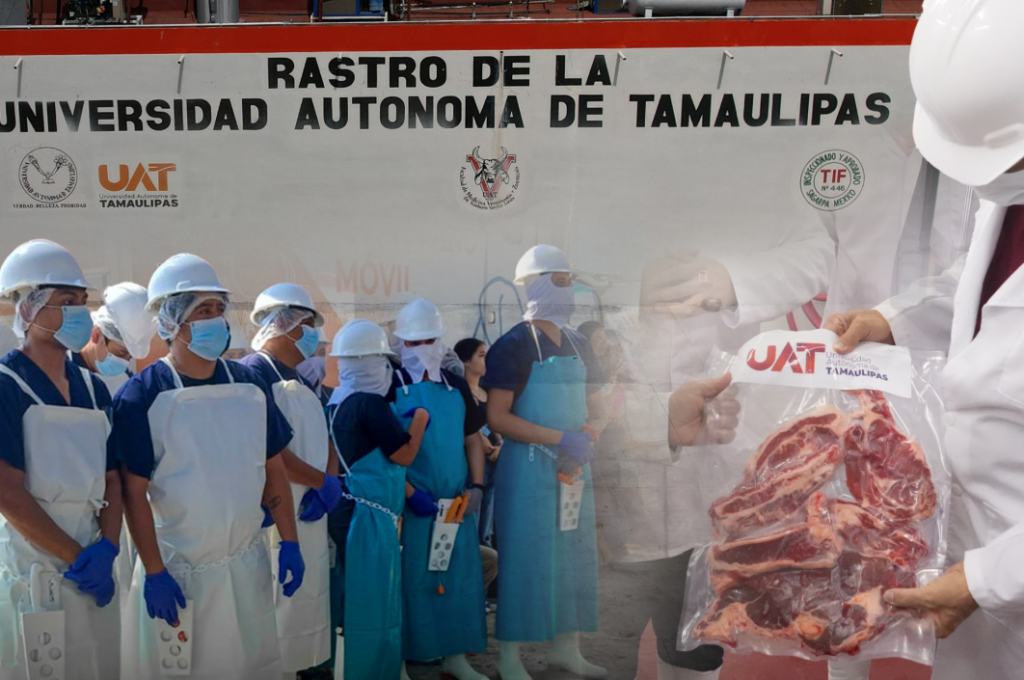 Rastro TIF de la UAT producirá carne para el mercado internacional