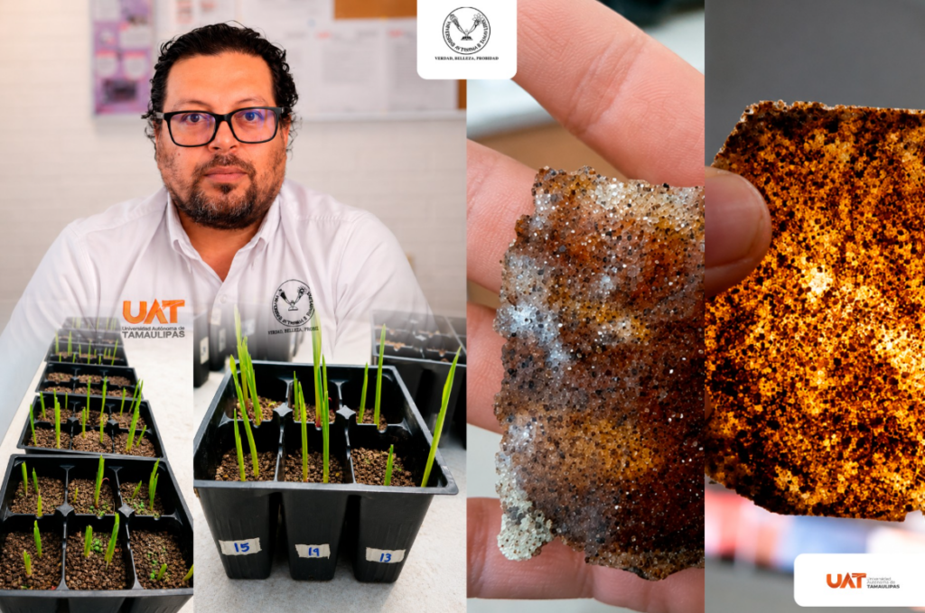 Patenta la UAT bioplásticos que recuperan suelos erosionados Patenta la UAT bioplásticos que recuperan suelos erosionados