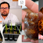 Patenta la UAT bioplásticos que recuperan suelos erosionados Patenta la UAT bioplásticos que recuperan suelos erosionados