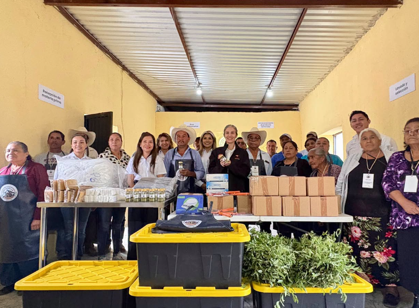 La UAT consolida proyecto de aprovechamiento del laurel para el emprendimiento rural
