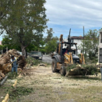 Intensifica Gobierno de Victoria mantenimiento en vialidades y áreas verdes tras las lluvias. Intensifica Gobierno de Victoria mantenimiento en vialidades y áreas verdes tras las lluvias.